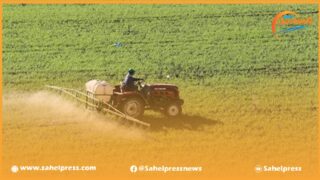 تقرير .. حجم استيراد المغرب لحاجياته الغذائية يفوق بكثير حجم إنتاجه