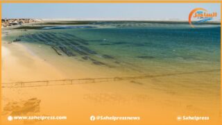 الشباب المستثمر بقطاع الأحياء البحرية منزعج من تأخر مشاريعه إضافة إلى كثرت الوثائق الإدارية والتكوينات ؟