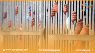 وزير العدل .. 29 ألف طفل قاصر متابعين أمام القضاء تورطوا في أكثر من 24 ألف قضية