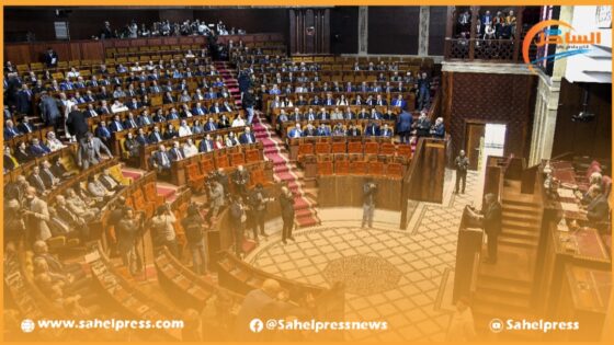 الفرق النيابية بمجلس النواب تدعو إلى تفعيل تقرير المجلس الأعلى للحسابات