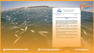 المعهد الوطني للبحث في الصيد البحري يختار “التمرّد” بتغييب اللغة العربية عن بلاغه في ظاهرة نفوق الأسماك بالداخلة ؟