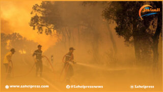 المغرب يستخدم الذكاء الاصطناعي في مواجهة حرائق الغابات
