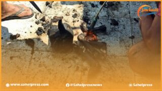 حرق رؤوس الأضاحي.. عادة تتكرر كل عيد أضحى في الداخلة والساحل بريس تستجلي الأمر