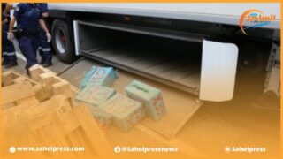 عملية تفتيش دقيق باستعمال الكلاب المدربة للشرطة تسفر عن إحباط عملية للتهريب الدولي لمخدر الشيرا