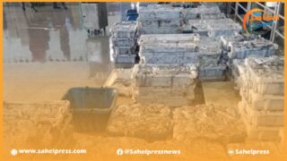 رسميا .. وزارة الصيد البحري تقرر إستئناف صيد الأخطبوط يوم 10 يوليوز 2023