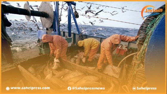 “فيرجينيوس سينكيفيسيوس” يؤكد أن الإتحاد الأوروبي يطمح إلى تمديد اتفاقية الصيد البحري مع المغرب
