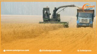 “يوسف بلال” نائبًا لرئيس مجلس الفاو وعضوًا في لجنة ماليتها