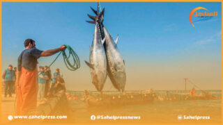 البوليساريو “تقدم ضمانات” وهمية للصيادين الإسبان ووزير الصيد الإسباني يرد بسخرية ” أنا لن أعطيها قيمة أكبر منها “