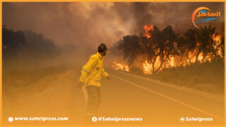 الحرائق بالمغرب تسجل رقما كبيرا خلال الفترة الممتدة ما بين فاتح يناير 10 يوليوز 2023