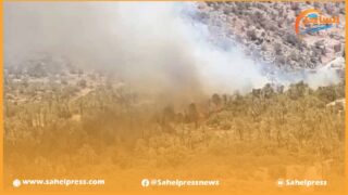 السلطات المحلية بجزر لاس بالماس تجلي أكثر من 2000 شخص بسبب الحرائق