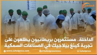 الداخلة.. مستثمرون بريطانيون يطلعون على تجربة كينغ بيلاجيك في الصناعات السمكية