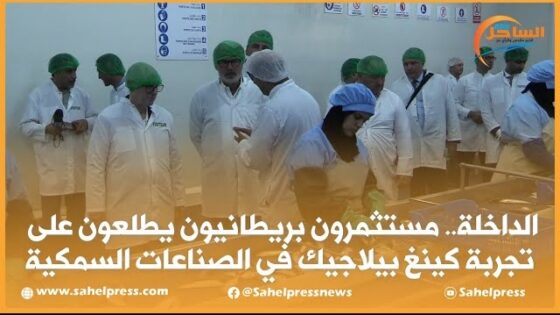 الداخلة.. مستثمرون بريطانيون يطلعون على تجربة كينغ بيلاجيك في الصناعات السمكية