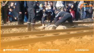 صادم .. قطار منطلق من مراكش يدهس شخصا ليحوله إلى أشلاء متناثرة