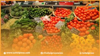 عائدات المغرب من صادرات الخضر تتجاوز 5.3 مليار دولار ( 52 مليار درهم) خلال السنوات الخمسة الأخيرة