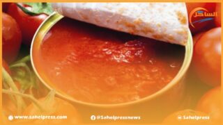 وزارة التجارة تتفاعل مع شكاية فدرالية الصناعات الغذائية بخصوص إغراق السوق الوطنية بالطماطم المعلبة المصرية