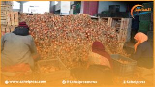 السنغال تلجئ إلى المغرب للتخفيف من نذرة البصل عندها ؟