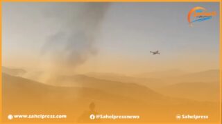 تسخير أزيد من 800 عنصر من القوات المسلحة الملكية ساهم في السيطرة على نسبة كبيرة من حرائق جبال “مغراوة” بتازة + فيديو