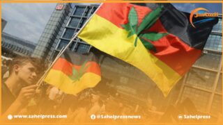 ألمانيا تشرع لإستهلاك القنب الهندي