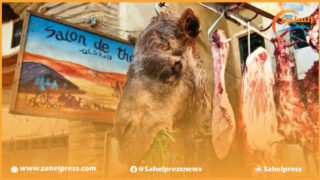 الفريق الحركي ينتقد فشل الدعم الذي خصصته الحكومة لمستوردي الأبقار والأغنام في خفض أسعار اللحوم الحمراء