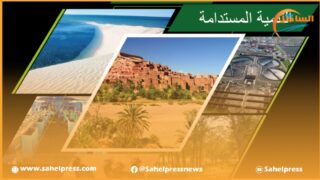 استراتيجية الدولة في مجال التنمية المستدامة