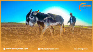 يطرح السؤال حول أداء صندوق التنمية القروية والمناطق الجبلية الذي كان عزيز أخنوش آمرا بالصرف فيه ؟