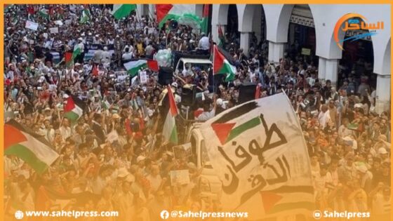 مسيرة حاشدة بالرباط بمشاركة الآلاف من المغاربة تضامنا مع الشعب الفلسطيني
