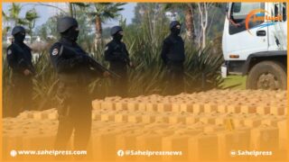 حصيلة .. المصالح الأمنية تحجز 27 طنا من الحشيش و 1434 كيلو من الكوكايين في الفترة مابين شهر غشت و أكتوبر الجاري