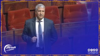 أسباب تراجع إنتاج الزيتون يختصرها وزير الفلاحة في .. ؟