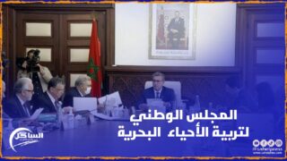 على طاولة الحكومة .. المجلس الوطني لتربية الأحياء البحرية