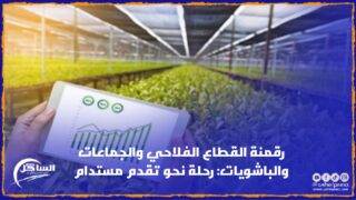 رقمنة القطاع الفلاحي والجماعات والباشويات: رحلة نحو تقدم مستدام