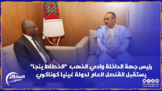 رئيس جهة الداخلة وادي الذهب “الخطاط ينجا” يستقبل القنصل العام لدولة غينيا كوناكري