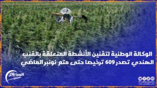 الوكالة الوطنية لتقنين الأنشطة المتعلقة بالقنب الهندي تصدر 609 ترخيصا حتى متم نونبر الماضي
