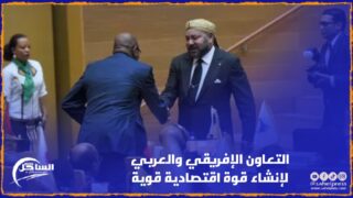 التعاون الإفريقي والعربي لإنشاء قوة اقتصادية قوية