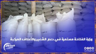 وزارة الفلاحة مستمرة في دعم الشعير والأعلاف المركبة