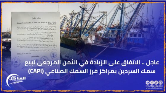 عاجل .. الاتفاق على الزيادة في الثمن المرجعى لبيع سمك السردين بمراكز فرز السمك الصناعي (CAPI)