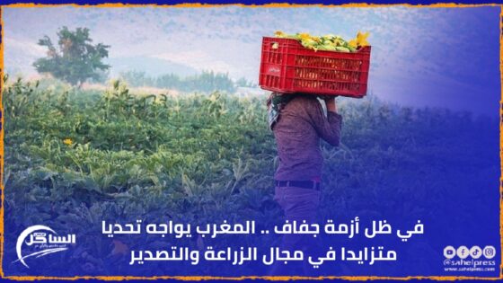 في ظل أزمة جفاف .. المغرب يواجه تحديا متزايدا في مجال الزراعة والتصدير