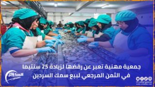جمعية مهنية تعبر عن رفضها لزيادة 25 سنتيما في الثمن المرجعي لبيع سمك السردين