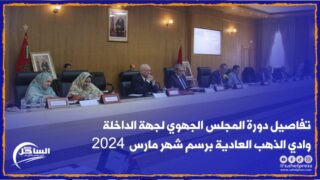 بالفيديو .. تفاصيل دورة المجلس الجهوي لجهة الداخلة وادي الذهب العادية برسم شهر مارس 2024