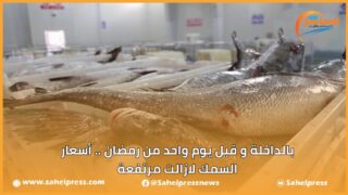 بالداخلة و قبل يوم واحد من رمضان .. أسعار السمك لازالت مرتفعة