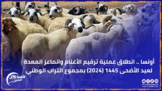 أونسا .. انطلاق عملية ترقيم الأغنام والماعز المعدة لعيد الأضحى 1445 (2024) بمجموع التراب الوطني