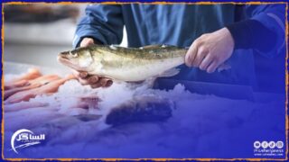 الداخلة وبالرغم من أنها مدينة ساحلية إلا أن “الأسماك” تغيب عن موائد ساكنتها !