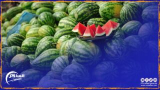 إسبانيا تحذر من جديد استهلاك البطيخ الأحمر المغربي (الدلاح) للإشتباه في احتوائه على مستويات عالية من مبيد “الكلوربيريفوس”