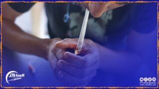 تقرير .. خلال سنة 2024 الوكالة الوطنية لتقنين الأنشطة المتعلقة بالقنب الهندي تصدر تراخيص 2905 من أصل 2942 طلبا