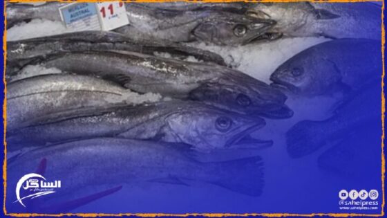 نظام الإنذار السريع للأغذية والأعلاف التابع للاتحاد الأوروبي يصدر تنبيها صحيا بسبب شحنة أسماك مغربية (تفاصيل)