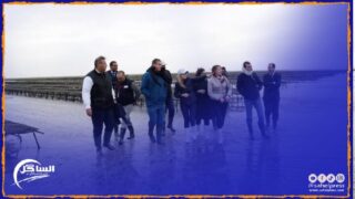 فرص التمويل لتعزيز تنافسية قطاع تربية الأحياء البحرية