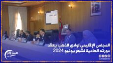 المجلس الإقليمي لوادي الذهب يعقد دورته العادية لشهر يونيو 2024