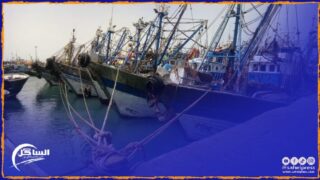 الداخلة .. ارتفاع ملحوظ بنسبة 19 في المئة من الكميات المفرغة من منتجات الصيد الساحلي والتقليدي