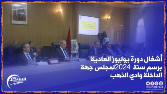 أشغال دورة يوليوز العادية برسم سنة 2024 لمجلس جهة الداخلة وادي الذهب(فيديو)