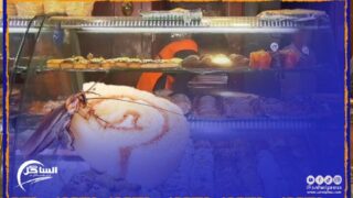 بسبب الصراصير والفئران .. صاحب مخبزة يوضع تحت تدابير الحراسة النظرية