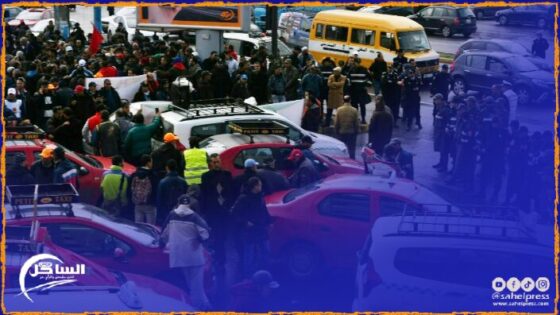 فوضى سيارات الأجرة في المحطات: صراع ومشاكل بلا احترام للسكان والناس